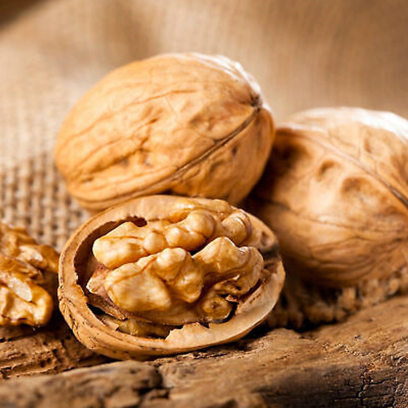 Rompenueces 16 Cms Cromado