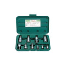 Juego Caja De Dados Punta Torx Hans 1/4 -3/8 -1/2  Dr 10 Pie